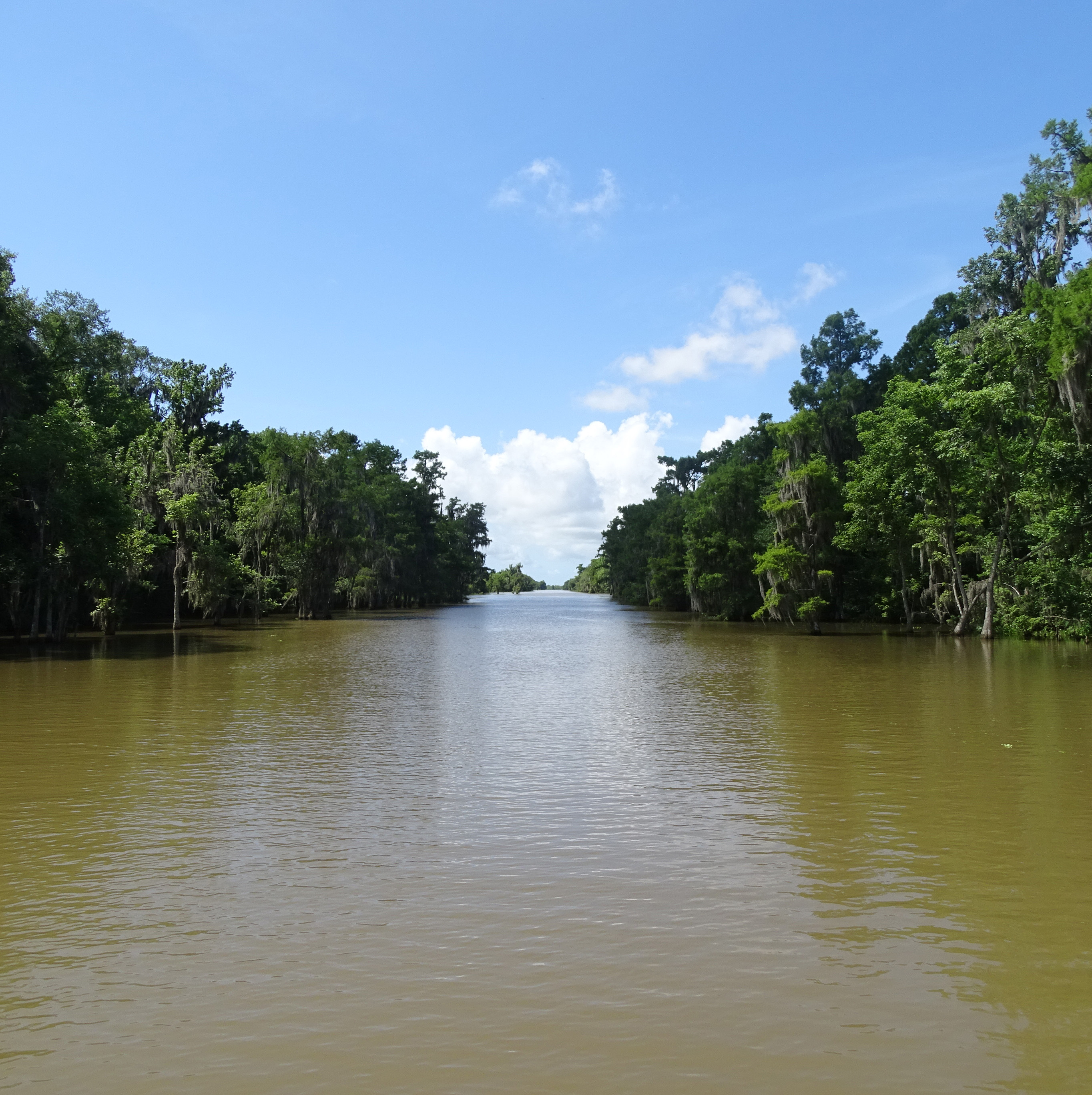 bayou tours in louisiana
